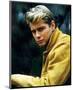 Troy Donahue-null-Mounted Photo