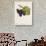 Troyen Grape-J. Troncy-Giclee Print displayed on a wall