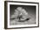 Truck and Tree-George Johnson-Framed Photographic Print