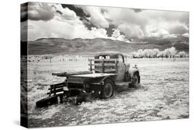 Truck in Field-George Johnson-Stretched Canvas