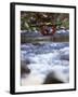Truckee River, California, USA-null-Framed Premium Photographic Print
