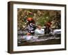 Truckee River, California, USA-null-Framed Photographic Print
