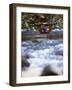 Truckee River, California, USA-null-Framed Photographic Print