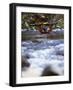 Truckee River, California, USA-null-Framed Photographic Print