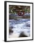 Truckee River, California, USA-null-Framed Photographic Print