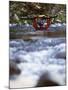 Truckee River, California, USA-null-Mounted Photographic Print