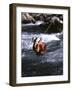 Truckee River, California, USA-null-Framed Photographic Print