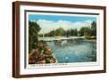 Brown Frame