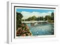 White Frame