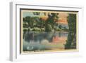 White Frame