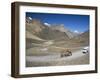 Trucks on Baralacha Pass, Road Only Open Three Months of Year, Ladakh, India-Tony Waltham-Framed Photographic Print
