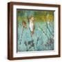 Brown Frame