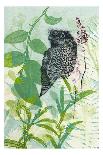 Wattlebird Hovering In My Garden-Trudy Rice-Art Print
