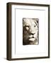 True 1-Susann Parker-Framed Photographic Print