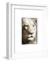 True 1-Susann Parker-Framed Photographic Print