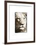 True 1-Susann Parker-Framed Photographic Print