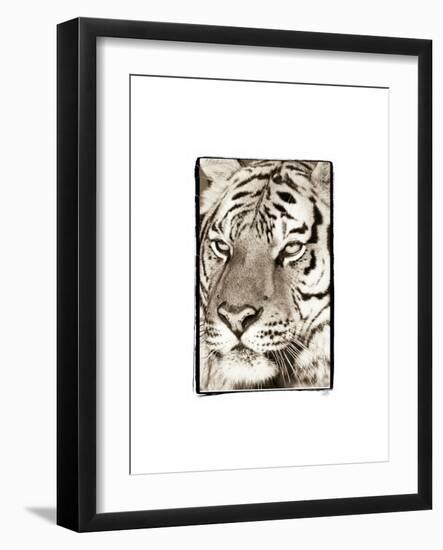 True 2-Susann Parker-Framed Premium Photographic Print