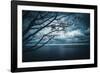 True Blue-Philippe Sainte-Laudy-Framed Photographic Print