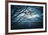 True Blue-Philippe Sainte-Laudy-Framed Photographic Print