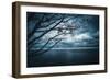 True Blue-Philippe Sainte-Laudy-Framed Photographic Print