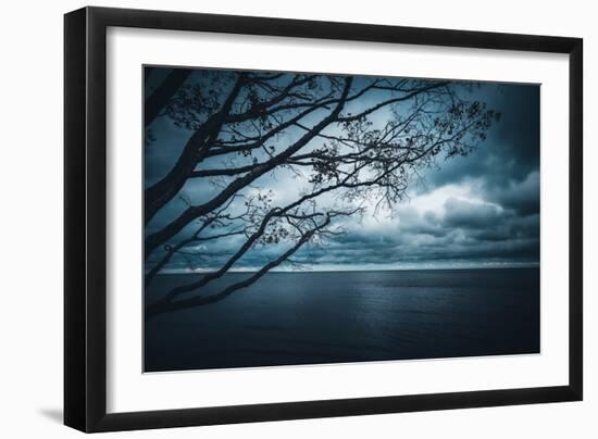 True Blue-Philippe Sainte-Laudy-Framed Photographic Print