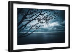 True Blue-Philippe Sainte-Laudy-Framed Photographic Print