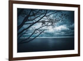 True Blue-Philippe Sainte-Laudy-Framed Photographic Print