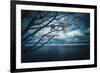 True Blue-Philippe Sainte-Laudy-Framed Photographic Print