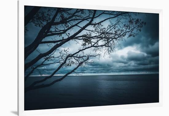 True Blue-Philippe Sainte-Laudy-Framed Photographic Print