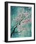 True Cherry Blossoms-Alexys Henry-Framed Giclee Print