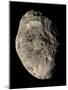 True Color Mosaic of Saturn's Impact-Pummeled Moon Hyperion-Stocktrek Images-Mounted Photographic Print