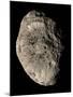 True Color Mosaic of Saturn's Impact-Pummeled Moon Hyperion-Stocktrek Images-Mounted Photographic Print