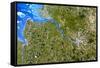 True-colour Satellite Image of Hamburg, Germany-PLANETOBSERVER-Framed Stretched Canvas