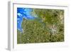 True-colour Satellite Image of Hamburg, Germany-PLANETOBSERVER-Framed Photographic Print