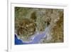 True-colour Satellite Image of Severn Estuary, UK-PLANETOBSERVER-Framed Photographic Print