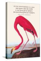 True Conservationist-John James Audubon-Stretched Canvas