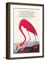 True Conservationist-John James Audubon-Framed Art Print