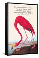 True Conservationist-John James Audubon-Framed Stretched Canvas