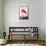 True Conservationist-John James Audubon-Framed Stretched Canvas displayed on a wall