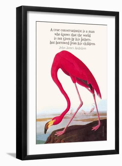 True Conservationist-John James Audubon-Framed Art Print