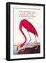 True Conservationist-John James Audubon-Framed Art Print