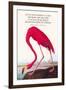 True Conservationist-John James Audubon-Framed Art Print