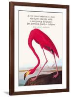 True Conservationist-John James Audubon-Framed Art Print