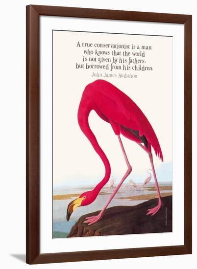 True Conservationist-John James Audubon-Framed Art Print