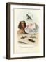 True Crickets, 1863-79-Raimundo Petraroja-Framed Giclee Print