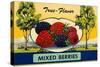 True Flavor Mixed Berries-null-Stretched Canvas