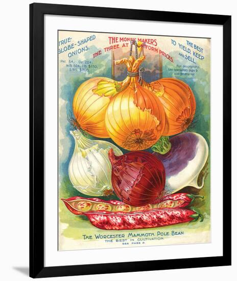 True Globe Shaped Onions-null-Framed Art Print