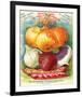 True Globe Shaped Onions-null-Framed Art Print