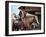 True Grit, John Wayne, 1969-null-Framed Photo