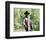 True Grit-null-Framed Photo